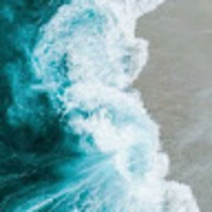 Meet your Posher, Shanelle